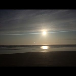 Meet your Posher, Avery